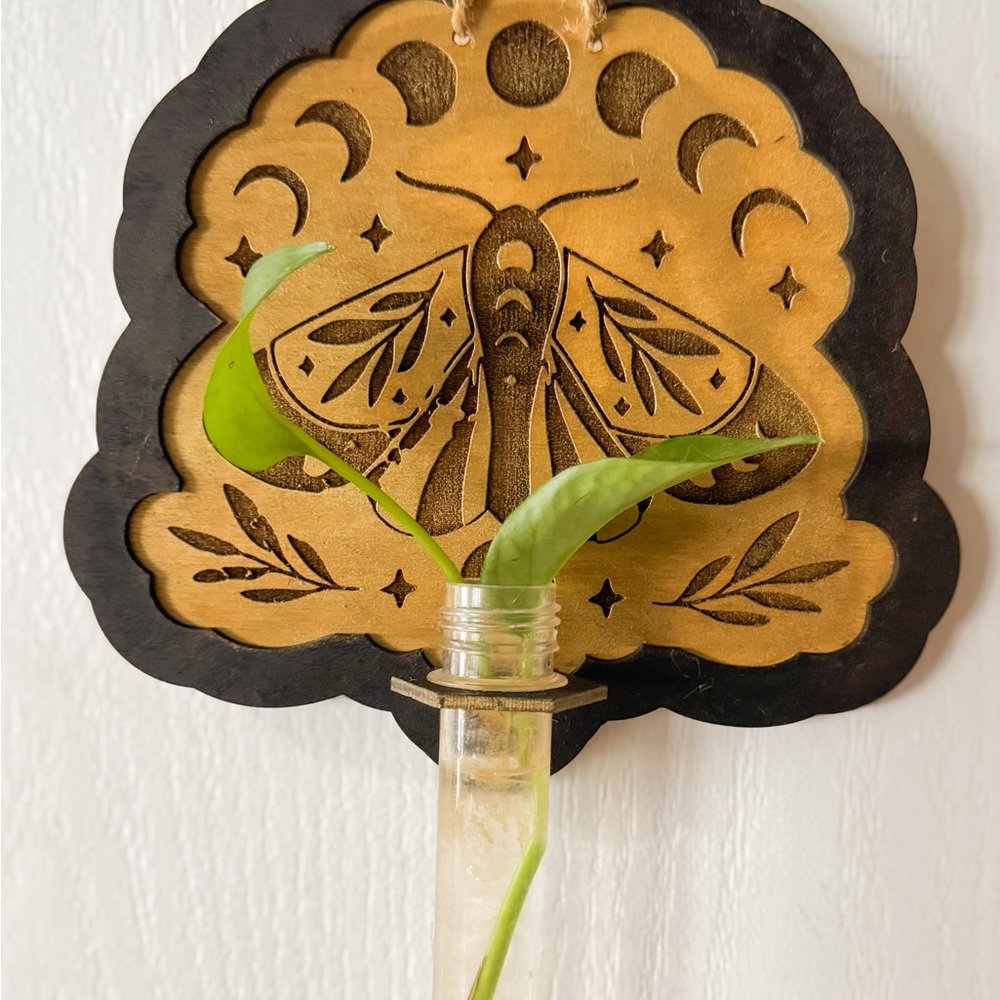Moon Phase Luna Moth Wall Propagation Station, Gothic Boho Plant Holder